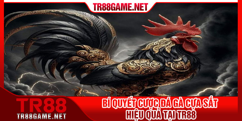 Bí Quyết Cược Đá Gà Cựa Sắt Hiệu Quả Tại TR88