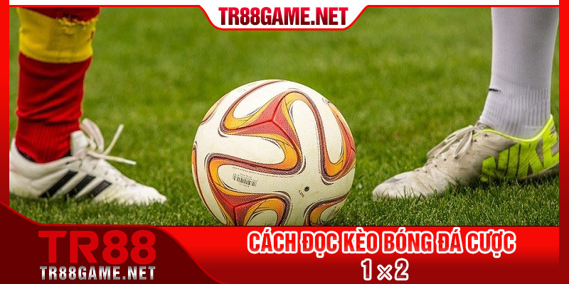 Cách đọc kèo bóng đá cược 1 × 2