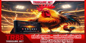 Da Ga Thomo – Kham Pha San Choi Dinh Cao 2026 Tai Tr88