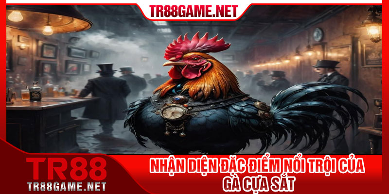 Nhận Diện Đặc Điểm Nổi trội Của Gà Cựa Sắt