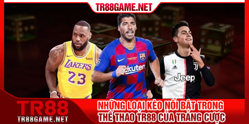 Những loại kèo nổi bật trong thể thao tr88 của trang cược