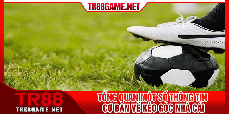 Tổng quan một số thông tin cơ bản về kèo góc nhà cái